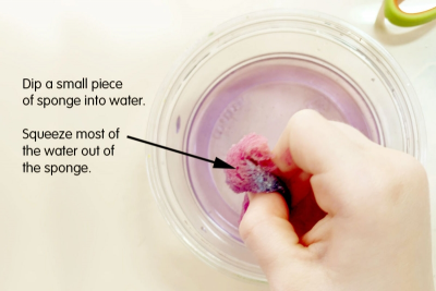Step 5