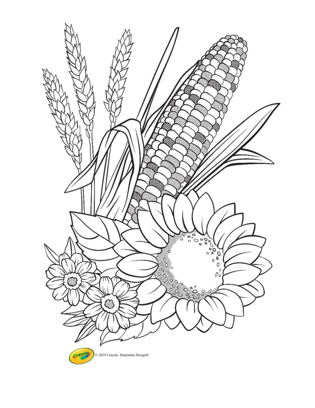 Corn and Flowers