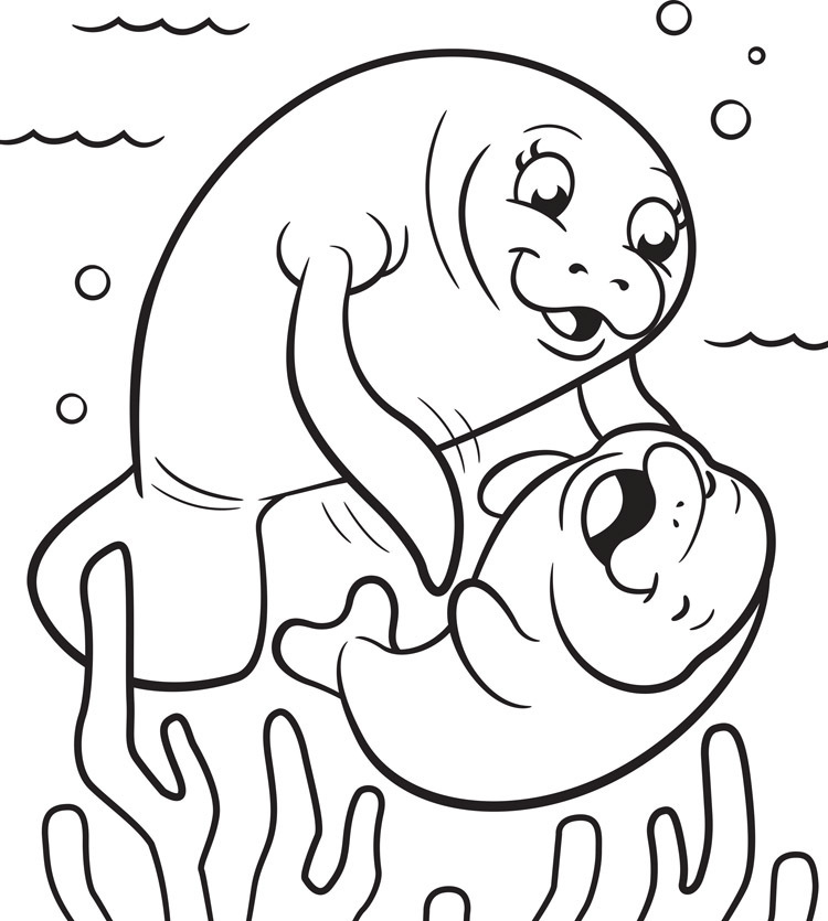 Manatee