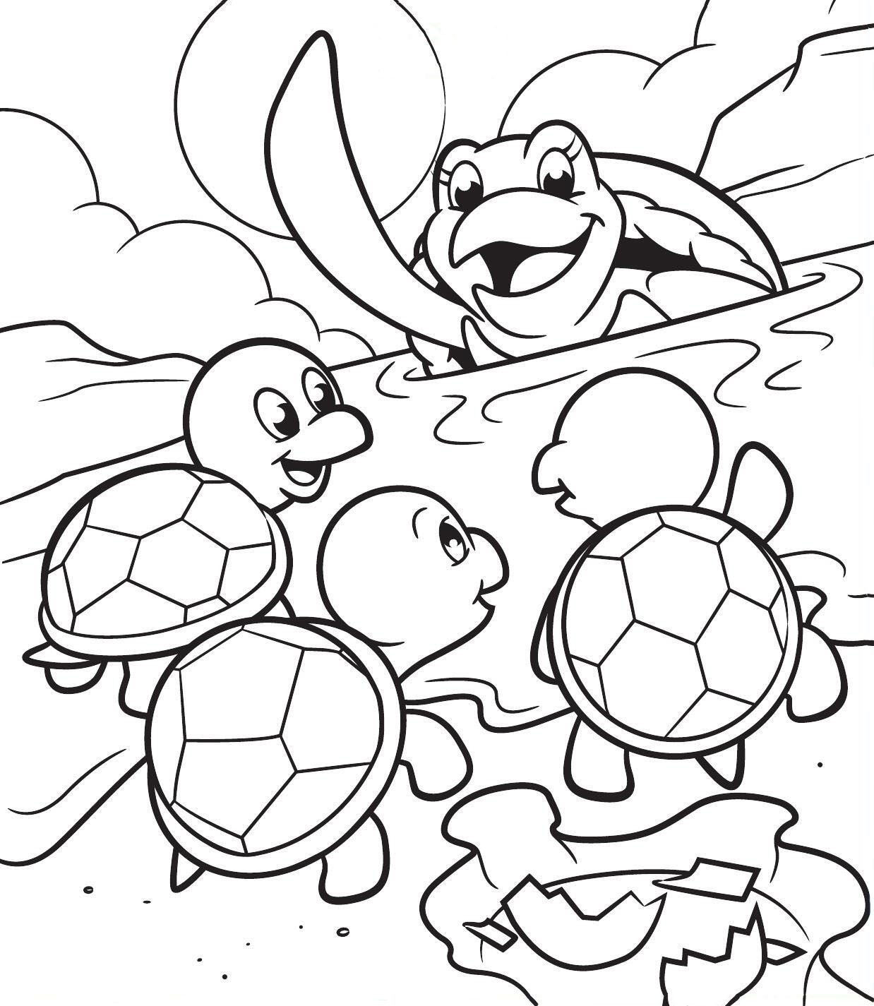 Turtle Family