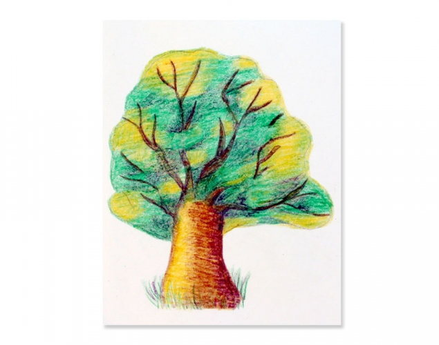 HOW TO DRAW A TREE WITH CRAYONS – Highlights, Shadows