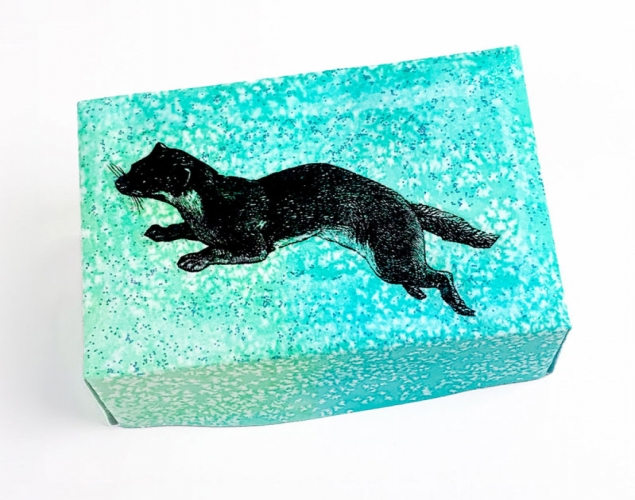 PHOTO TRANSFER BOX – Colour, Form, Texture